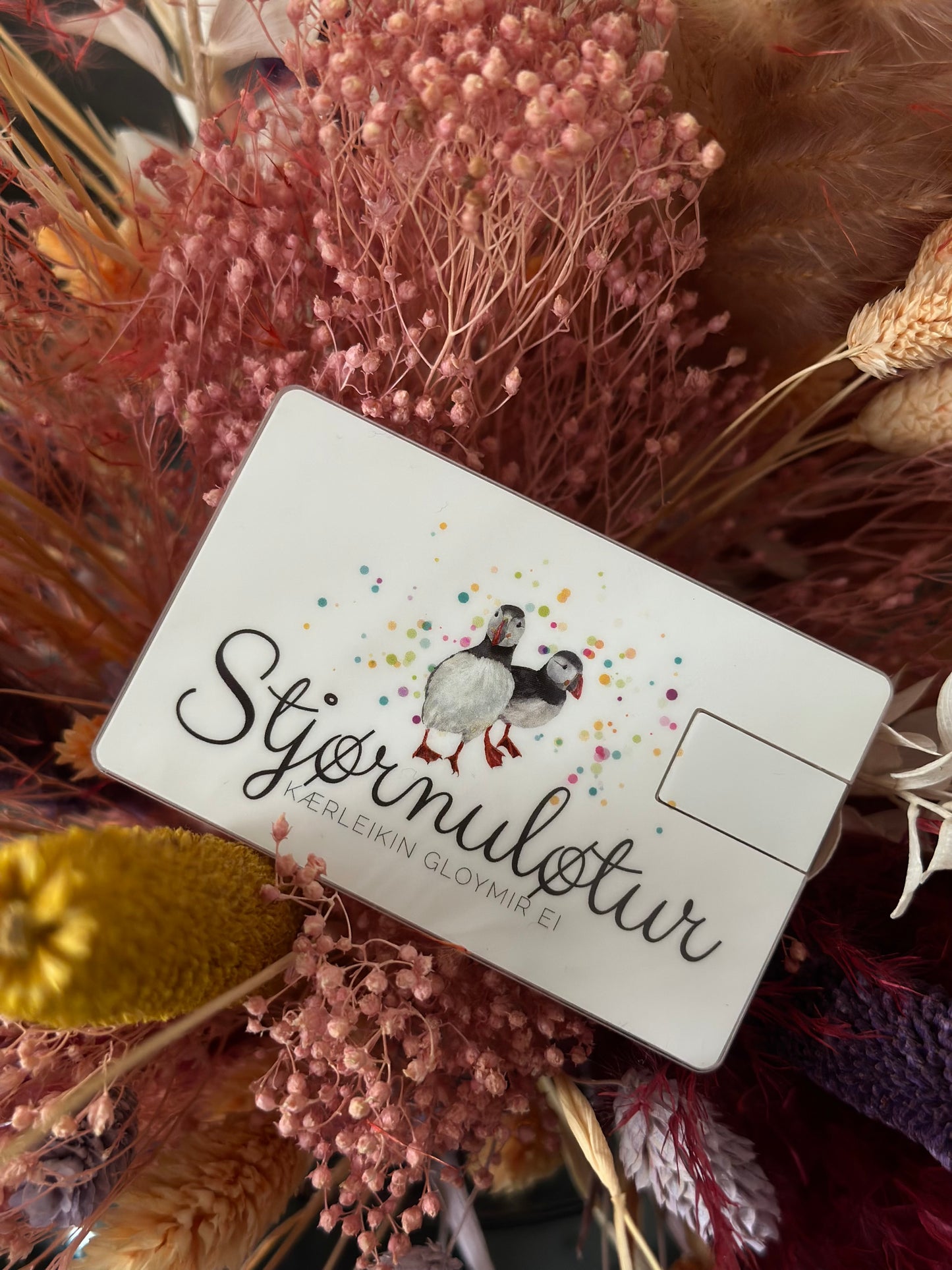 "Stjørnuløtur - Kærleikin gloymir ei" - USB