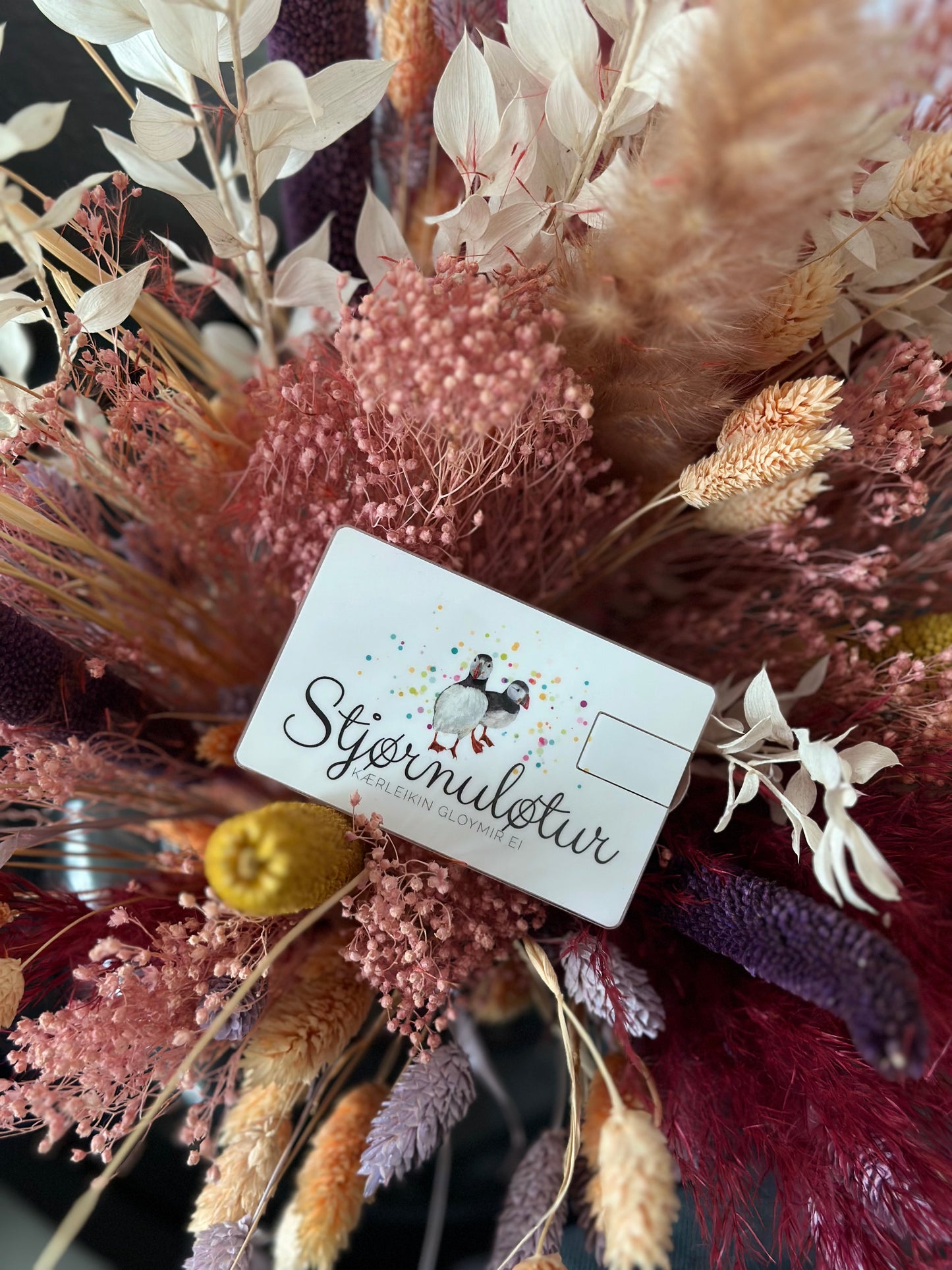 "Stjørnuløtur - Kærleikin gloymir ei" - USB